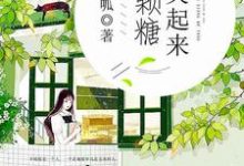 你笑起来像颗糖小说的无弹窗阅读体验，寻找免费阅读网站-经典文学