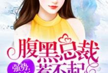 腹黑总裁惹不起章节免费在线阅读,辛甜孟喻承完结版-经典文学