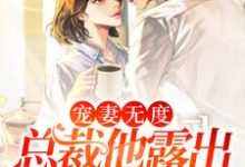 在线寻找宠妻无度:总裁他露出狐狸尾巴了小说的无删减版本-经典文学