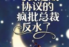 已完结小说《闪婚夜，与我达成协议的疯批总裁反水了》章节免费阅读-经典文学