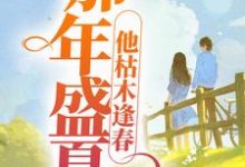 那年盛夏，他枯木逢春小说全文阅读需要付费吗？寻找免费资源-经典文学