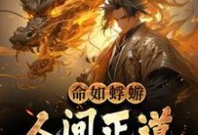 命如蜉蝣:人间正道是长生章节免费在线阅读,陈凡完结版-经典文学