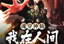 已完结小说《魂穿神仙,我在人间装疯卖傻》最新章节-经典文学