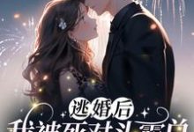 哪里能找到逃婚后，我被死对头霸总逮回家了小说的最新更新和免费章节？-经典文学