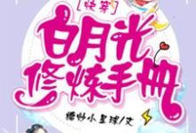在线免费阅读白月光修炼手册完整小说-经典文学