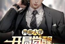 网游大佬：开局觉醒红温系统苏晨，网游大佬：开局觉醒红温系统在线无弹窗阅读-经典文学