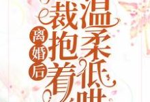 《离婚后，总裁抱着前妻温柔低哄》小说厉柏琛夏千歌章节章节免费在线阅读-经典文学