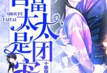 首富太太是团宠小说免费资源,首富太太是团宠在线阅读-经典文学