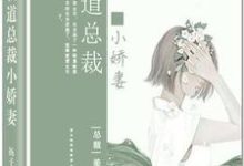 陈若希周安良小说叫什么（霸道总裁小娇妻免费阅读）-经典文学
