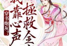 小说《穿书炮灰?我靠心声拯救全家》章节免费阅读-经典文学