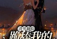 求渣男翻脸,跪舔我的时候忘了?小说的全文免费阅读链接-经典文学
