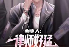 当事人:律师好猛,案子解决真轻松小说最新更新在哪里?免费在线看-经典文学