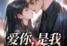 《爱你,是我最深的执念》小说章节在线试读,《爱你,是我最深的执念》最新章节目录-经典文学