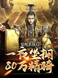 觉醒系统后，一夜坐拥80万精骑小说全文阅读需要付费吗？寻找免费资源