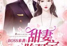 完整版的BOSS来袭:甜妻一胎双宝小说在哪里可以免费读到?-经典文学
