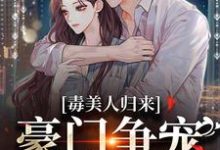 求毒美人归来:豪门争宠风云起小说的全文免费阅读链接-经典文学