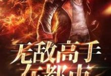 无敌高手在都市小说的所有章节都能在哪里免费读到？-经典文学