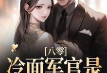 八零:冷面军官是宠妻狂魔小说的免费电子版在哪里可以下载或阅读?-经典文学