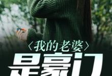 已完结小说《我的老婆是豪门》章节在线阅读-经典文学