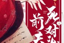 重生后嫁给了前夫死对头免费阅读,重生后嫁给了前夫死对头章节在线阅读-经典文学