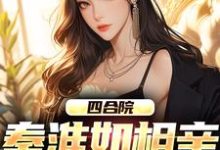 已完结小说《四合院：秦淮如相亲，我截胡》章节在线阅读-经典文学