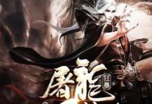 狂暴屠龙系统(苏龙叶儿王舒涵奚千柔)在线免费阅读-经典文学