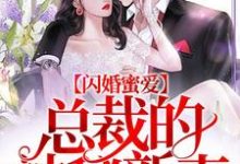 傅烨池绫刘哲小说完结版在线阅读,闪婚蜜爱:总裁的神秘新妻免费看-经典文学