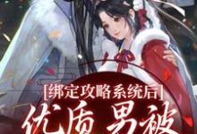 小说《绑定攻略系统后，优质男被她迷晕了》章节免费阅读-经典文学