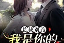 总裁别跑，我是你的命定女人小说阅读，总裁别跑，我是你的命定女人完结版-经典文学