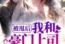 宁以夏陆司霆小说叫什么(被甩后,我和豪门上司闪婚了免费阅读)-经典文学