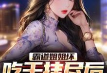 霸道姐姐坏，吃干抹尽后不认人了小说最新更新在哪里？免费在线看-经典文学