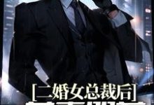 已完结小说《二婚女总裁后，前妻哭着求复合》章节在线阅读-经典文学
