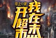 完整版的我在末世开超市小说在哪里可以免费读到?-经典文学