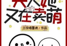 哪里可以免费找到报告!夫人她又在卖萌?-经典文学