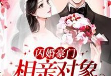 许南音陆南骁小说叫什么(闪婚豪门:相亲对象是大佬免费阅读)-经典文学