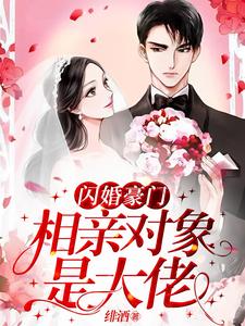 许南音陆南骁小说叫什么（闪婚豪门：相亲对象是大佬免费阅读）