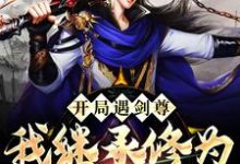 开局遇剑尊：我继承修为逆天破境小说，开局遇剑尊：我继承修为逆天破境最新章节-经典文学
