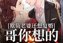 欺负老婆还想复婚，哥你想的太美了这本小说怎么样？免费在线阅读试试-经典文学
