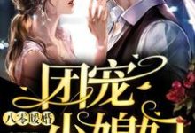 八零暖婚:团宠小媳妇小说,八零暖婚:团宠小媳妇章节在线阅读-经典文学