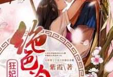 惊世狂妃:绝色冷王请下榻!小说有没有完结版在线?-经典文学