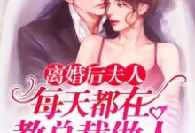 小说《离婚后夫人每天都在教总裁做人》在线章节阅读-经典文学