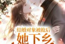 在线寻找结婚对象被抢后,她下乡闪婚双胎了小说的无删减版本-经典文学