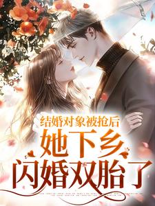 在线寻找结婚对象被抢后，她下乡闪婚双胎了小说的无删减版本