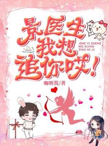 《景医生我想追你哎！》小说章节在线试读，《景医生我想追你哎！》最新章节目录