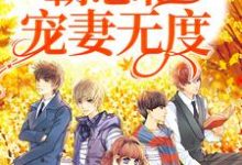 哪里能找到一见钟情:霸总他宠妻无度小说的全部章节?-经典文学