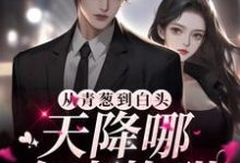 周苒厉司宴小说叫什么(从青葱到白头:天降哪有青梅甜免费阅读)-经典文学