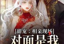 免费看甜宠：相亲现场，对面是我暗恋对象小说的网站有哪些？-经典文学