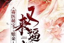 毒医萌宝:娘亲,父皇又来逼婚了这本小说在哪里可以看?哪里有免费试读章节?-经典文学