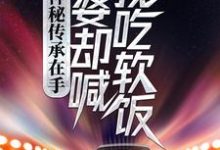 已完结小说《神秘传承在手，老婆却喊我吃软饭》在线章节阅读-经典文学