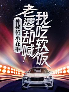 已完结小说《神秘传承在手，老婆却喊我吃软饭》在线章节阅读